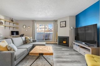 Photo 5: 202 1633 26 Avenue SW in Calgary: South Calgary Apartment for sale : MLS®# A2033806