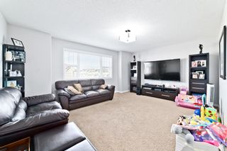 Photo 20: 57 Skyview Springs Road NE in Calgary: Skyview Ranch Detached for sale : MLS®# A1180474