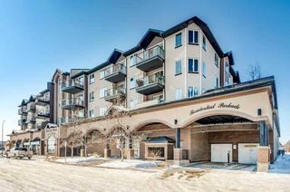 Main Photo: 234 1727 54 Street SE in Calgary: Penbrooke Meadows Apartment for sale : MLS®# A2115438