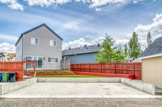 Photo 34: 288 Copperstone Gardens SE in Calgary: Copperfield Detached for sale : MLS®# A1227646