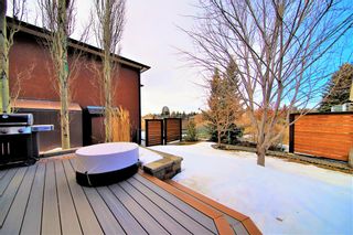 Photo 46: 66 Scimitar Point NW in Calgary: Scenic Acres Detached for sale : MLS®# A2037635