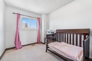 Photo 21: 54 Templeson Crescent NE in Calgary: Temple Detached for sale : MLS®# A1209968
