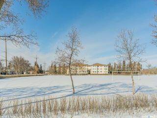 Photo 31: 135 113th Street West in Saskatoon: Sutherland Residential for sale : MLS®# SK922851