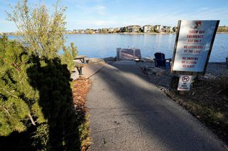 Photo 50: 102 Auburn Sound Place SE in Calgary: Auburn Bay Detached for sale : MLS®# A2018621