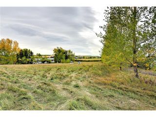 Photo 9: 386141 2 Street E: Rural Foothills M.D. House for sale : MLS®# C4081812