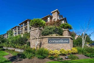Photo 1: 124 21009 56 Avenue in Langley: Salmon River Condo for sale in "CORNERSTONE" : MLS®# R2698351