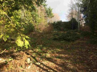 Photo 10: LOT 1 GRANDVIEW Road in Gibsons: Gibsons & Area Land for sale in "BONNIEBROOK" (Sunshine Coast)  : MLS®# R2239418