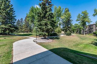 Photo 23: 388 8948 Elbow Drive SW in Calgary: Haysboro Apartment for sale : MLS®# A2075651