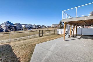Photo 47: 231 LAKEPOINTE Drive: Chestermere Detached for sale : MLS®# A1080969