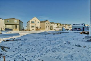 Photo 47: 175 Belvedere Green SE in Calgary: Belvedere Detached for sale : MLS®# A2094403