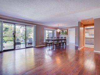 Photo 8: 30 6600 LUCAS ROAD in Richmond: Woodwards Townhouse for sale : MLS®# R2569489