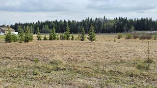 Photo 9: 315 5241 Township Road 325A: Rural Mountain View County Residential Land for sale : MLS®# A2033613