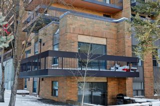 Photo 15: 204 9800 Horton Road SW in Calgary: Haysboro Apartment for sale : MLS®# A2030436