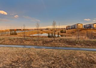 Photo 43: 20 NOLAN HILL Heights NW in Calgary: Nolan Hill Row/Townhouse for sale : MLS®# A1212716