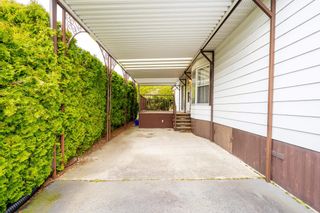 Photo 31: 54 2303 CRANLEY Drive in Surrey: King George Corridor Manufactured Home for sale in "Sunnyside" (South Surrey White Rock)  : MLS®# R2863262