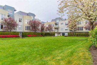 Photo 15: D121 8620 JONES Road in Richmond: Brighouse South Condo for sale in "Sunnyvale" : MLS®# R2159142