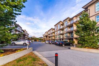 Photo 3: 317 30525 CARDINAL AVENUE in Abbotsford: Abbotsford West Condo for sale : MLS®# R2520530
