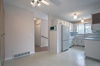 Photo 16: 121 Mckinnon Crescent NE in Calgary: Mayland Heights Semi Detached (Half Duplex) for sale : MLS®# A1245207
