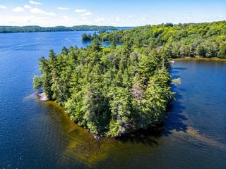 Photo 6: 16 Bigwin Island in Lake of Bays: House (Other) for sale : MLS®# X5727797