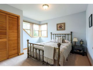 Photo 17: 26177 126th St. in Maple Ridge: Whispering Hills House for sale : MLS®# V1113864