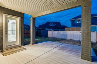 Photo 47: 102 Stonemere Green: Chestermere Detached for sale : MLS®# A2122937