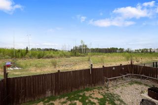 Photo 25: 449 Walnut Crescent: Fort McMurray Detached for sale : MLS®# A2050874