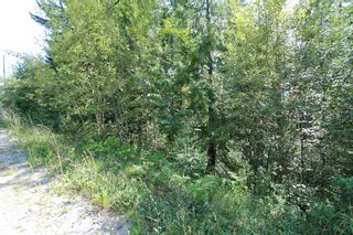 Photo 4: Lot 91 Anglemont Way in Anglemont: Land Only for sale (Shuswap)  : MLS®# 10069930