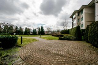 Photo 19: 121 4728 DAWSON Street in Burnaby: Brentwood Park Condo for sale in "MONTAGE" (Burnaby North)  : MLS®# R2347416
