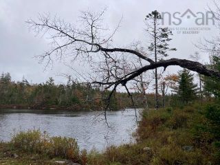 Photo 10: 53 Bridges Lane in River Lake: 35-Halifax County East Vacant Land for sale (Halifax-Dartmouth)  : MLS®# 202224020