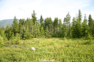Photo 21: 190 SW Christison Road in Salmon Arm: Gleneden Vacant Land for sale : MLS®# 10118444
