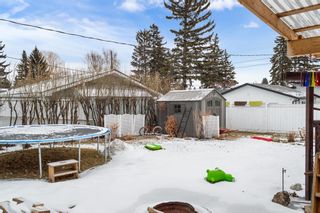 Photo 21: 9832 5 Street SE in Calgary: Acadia Detached for sale : MLS®# A1184105