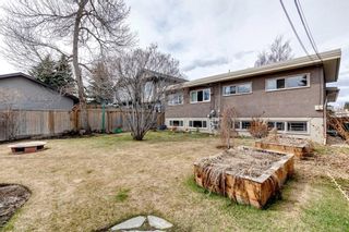 Photo 45: 1428 44 Street SW in Calgary: Rosscarrock Full Duplex for sale : MLS®# A2123706