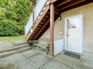 Photo 11: 801 Anderson Ave in Esquimalt: Es Old Esquimalt Full Duplex for sale : MLS®# 893369