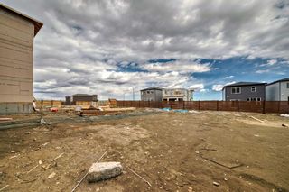Photo 50: 196 Calhoun Crescent NE in Calgary: Livingston Detached for sale : MLS®# A2122738