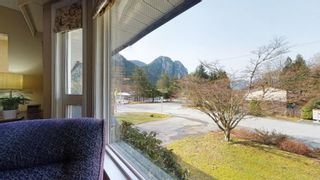 Photo 7: 38240 MYRTLEWOOD Crescent in Squamish: Valleycliffe House for sale in "Valleycliffe" : MLS®# R2669049
