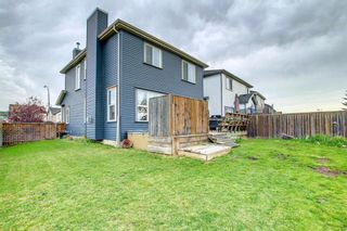 Photo 47: 1013 Copperfield Boulevard SE in Calgary: Copperfield Detached for sale : MLS®# A1149102