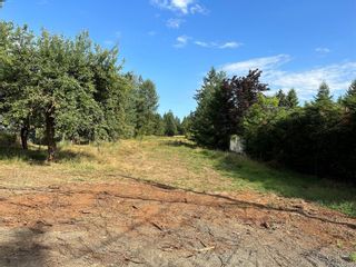 Photo 25: LOT A Lake Trail Rd in Courtenay: CV Courtenay West Land for sale (Comox Valley)  : MLS®# 924905