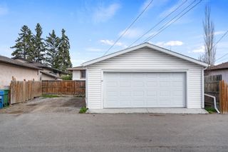 Photo 24: 94 Dovercliffe Close SE in Calgary: Dover Detached for sale : MLS®# A1216615