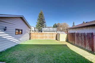 Photo 48: 636 Whitehorn Way NE in Calgary: Whitehorn Detached for sale : MLS®# A1215899
