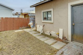 Photo 44: 156 Whitworth Way NE in Calgary: Whitehorn Detached for sale : MLS®# A2039493