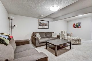 Photo 32: 604 EVANSTON Link NW in Calgary: Evanston Semi Detached for sale : MLS®# A1021283