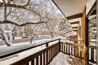 Photo 28: 6132 Bowness Road NW in Calgary: Bowness 4 plex for sale : MLS®# A2117560