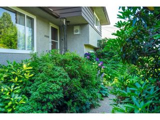 Photo 6: 12360 FLURY Drive in Richmond: East Cambie House for sale : MLS®# R2714457