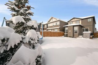 Photo 40: 329 Walgrove Terrace SE in Calgary: Walden Detached for sale : MLS®# A2027699