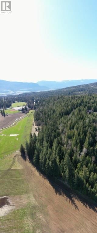 Photo 9: 28 Gardom Lake Road in Enderby: Vacant Land for sale : MLS®# 10277294