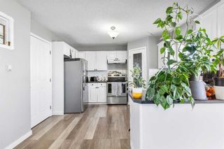 Photo 16: 106 San Diego Manor NE in Calgary: Monterey Park Detached for sale : MLS®# A2126018