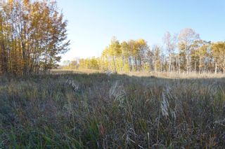 Photo 12: 14 53214 RR 13: Rural Parkland County Rural Land/Vacant Lot for sale : MLS®# E4270600