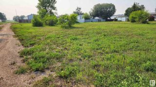 Photo 4: 5002 55 Street: Elk Point Vacant Lot/Land for sale : MLS®# E4350144