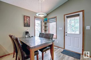 Photo 15: 3804 42 Street in Edmonton: Zone 29 House for sale : MLS®# E4305393