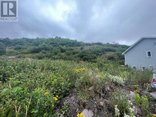 Photo 3: 158 Maddox Cove Road in Petty Harbour - Maddox Cove: Vacant Land for sale : MLS®# 1262555